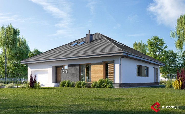E-245 Duży dom z czterospadowym dachem - wizualizacja
