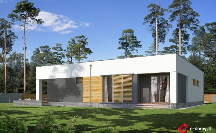 E-205a Funkcjonalny dom z płaskim dachem - wizualizacja